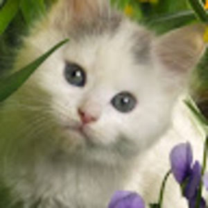 Meet your Posher, Mary